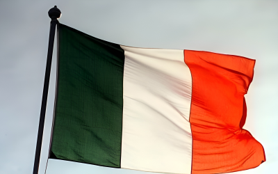 External contractors access Irish translation procurement opportunities
