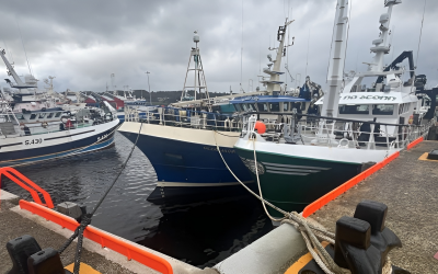 Irish fishing sector warns of major quota cuts as leaders seek united front ahead of key EU talks