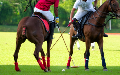 ISS partners with USPA to elevate National Polo Center operations