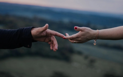 Institutional Impact