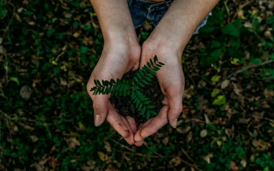 Sustainable edge