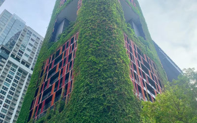 Global appetite for green buildings softens amid cost and policy pressures
