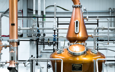 Irish Gin education programme expands to six universities