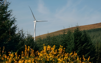 FuturEnergy Ireland unveils Cork wind development