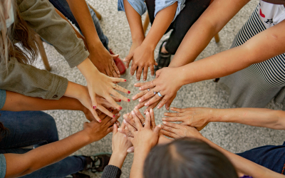 Organisational Support