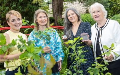 ACORNS programme for female entrepreneurs to represent Ireland at European awards
