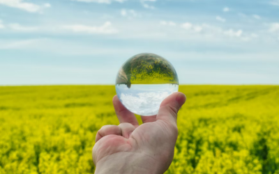 Sustainability crossroads