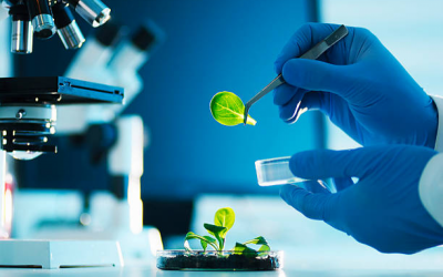 Irish Pharmaceutical and Biotechnology sector accelerates digital transformation and tech hiring