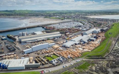 Timber ties to long-term growth