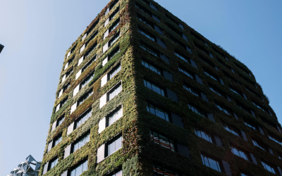 Global demand for green office buildings slows amid US policy shift