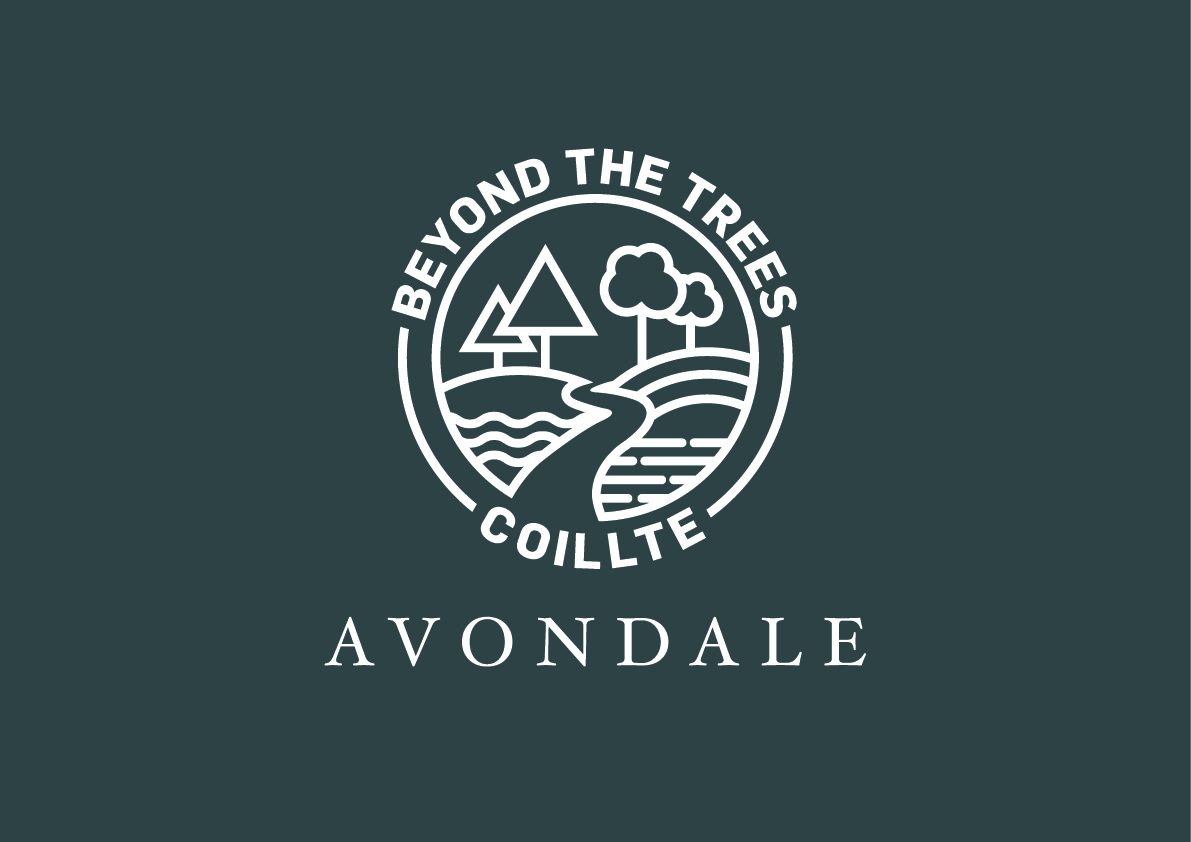 Beyond the Trees Avondale - Winter Woodland