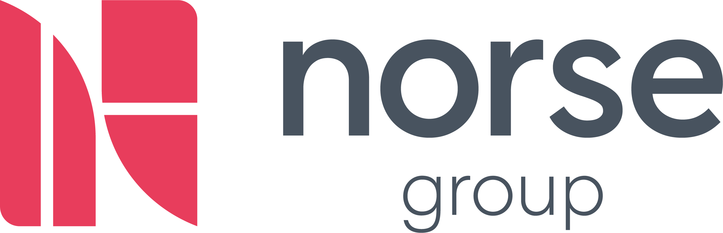 Norse Group