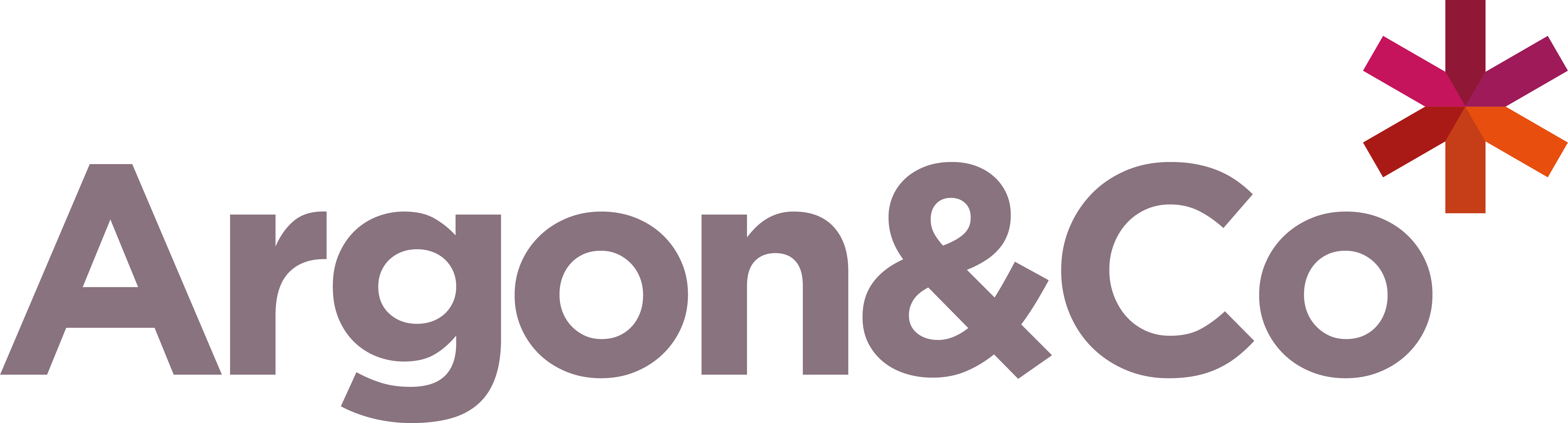 Argon & Co., Ireland - Putting people first in an ERP enabled transformation