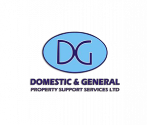 Domestic and General - Anca Pop